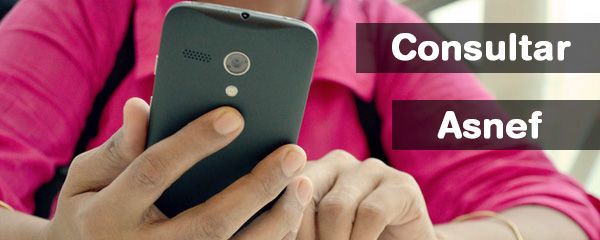 Consultar Asnef